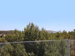 Zimmerbild 5