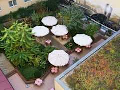 Zimmerbild 12