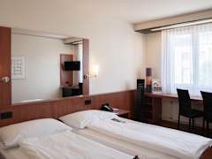 Zimmerbild 1