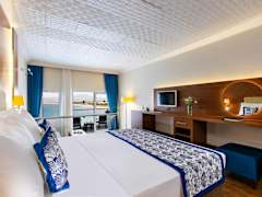 Zimmerbild 61