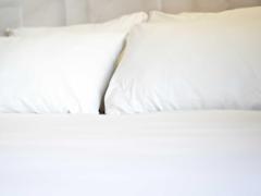 Zimmerbild 11
