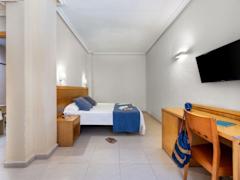 Zimmerbild 1