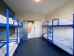 Zimmerbild 3