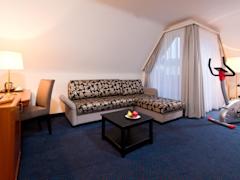 Zimmerbild 1
