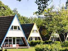 Zimmerbild 4