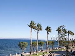 Zimmerbild 41