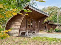 Zimmerbild 176