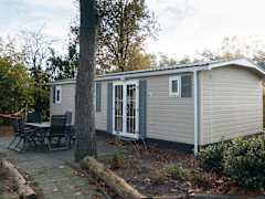 Zimmerbild 111